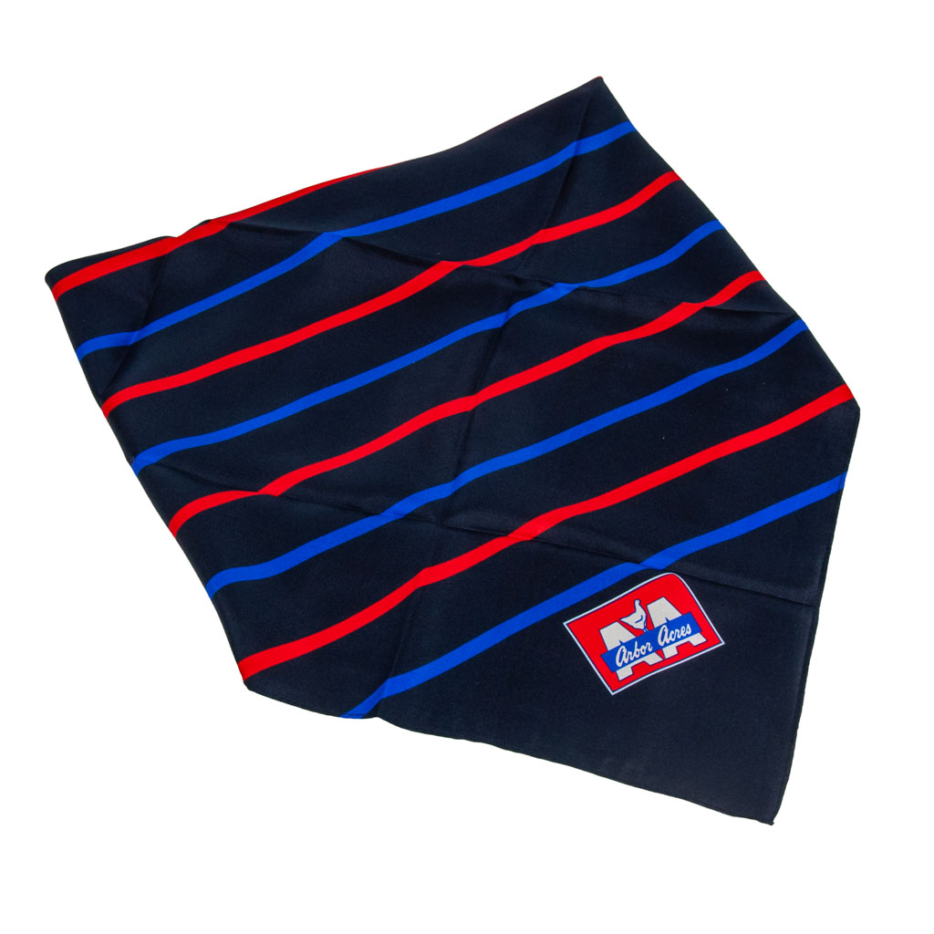 Arbor Acres Ladies Silk Scarf